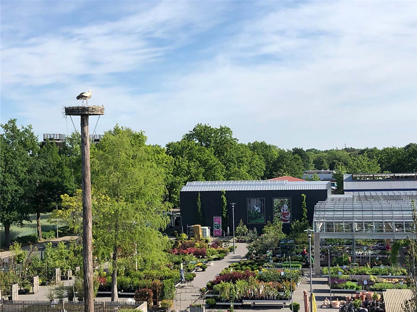 Baumschule Garten Grewe
