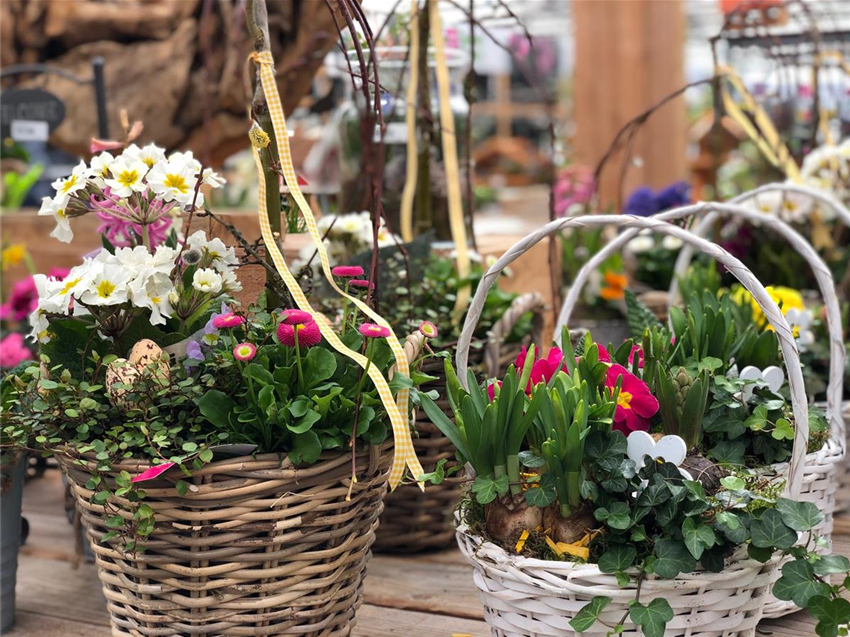 Frühling Garten Grewe
