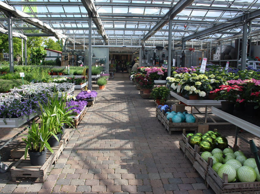 Sommer Garten Grewe