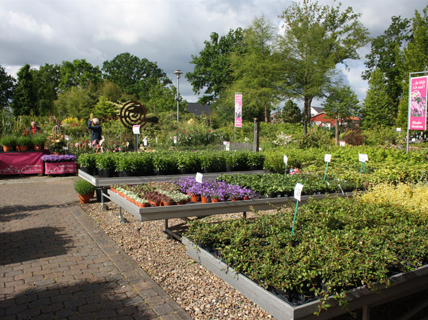 Sommer Garten Grewe