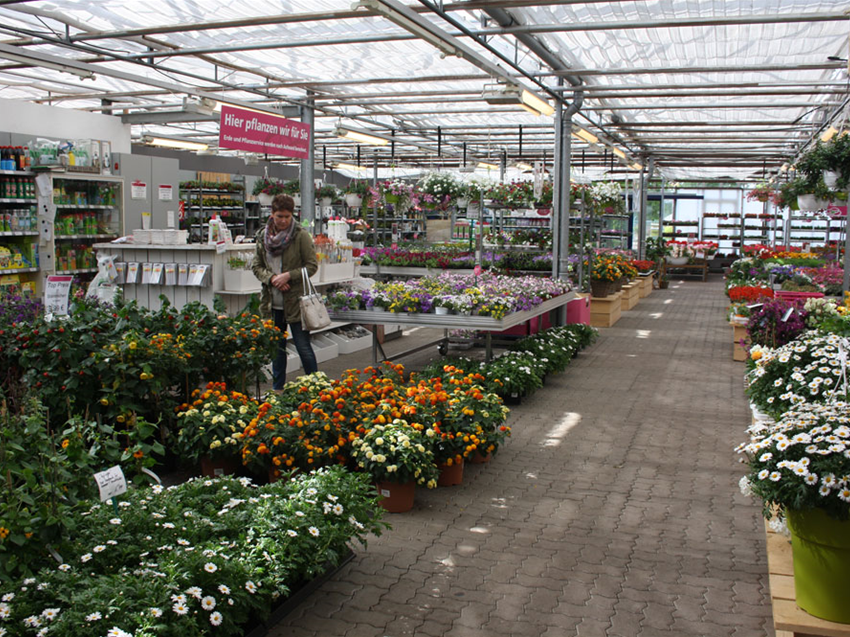 Sommer Garten Grewe