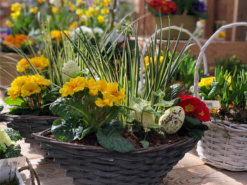 Frühling Garten Grewe