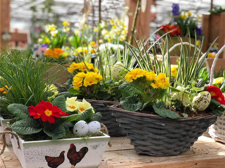 Frühling Garten Grewe