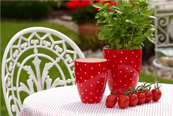 Tomaten? Aber klar!