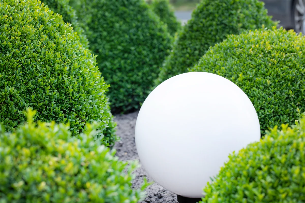 Spiele mit Farbe und Licht in Ihrem Garten - Garten Grewe