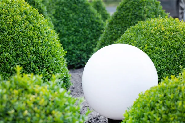 Spiele mit Farbe und Licht in Ihrem Garten