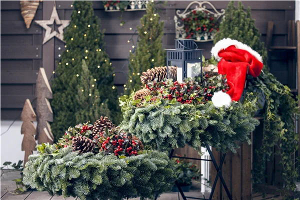 Gartentipps im November