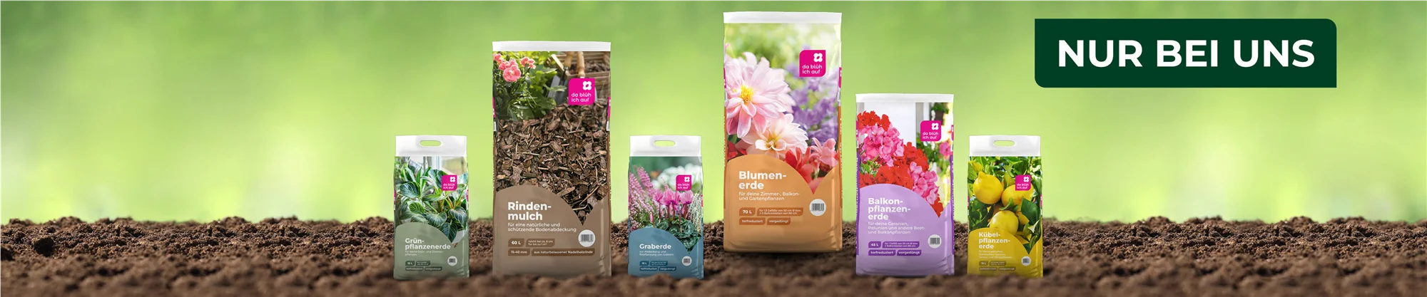 Unser Sortiment - Garten Grewe